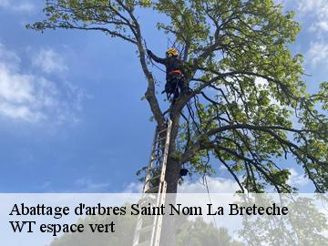 Abattage d'arbres  saint-nom-la-breteche-78860 Archange Paysagiste 78