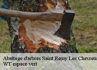 Abattage d'arbres saint-remy-les-chevreuse-78470 WT espace vert
