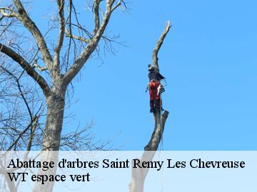 Abattage d'arbres saint-remy-les-chevreuse-78470 WT espace vert