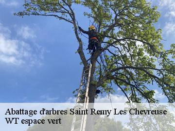 Abattage d'arbres saint-remy-les-chevreuse-78470 WT espace vert