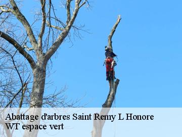 Abattage d'arbres  saint-remy-l-honore-78690 WT espace vert 