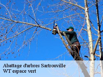 Abattage d'arbres sartrouville-78500 WT espace vert