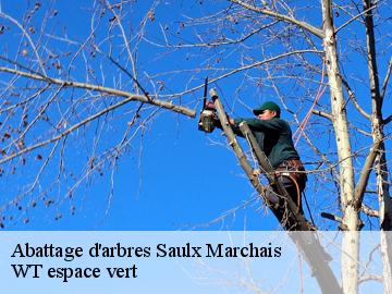 Abattage d'arbres saulx-marchais-78650 WT espace vert