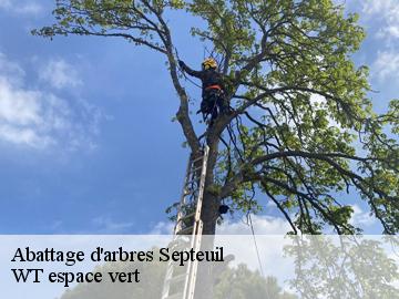 Abattage d'arbres septeuil-78790 WT espace vert