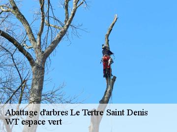 Abattage d'arbres le-tertre-saint-denis-78980 WT espace vert