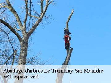 Abattage d'arbres le-tremblay-sur-mauldre-78490 WT espace vert
