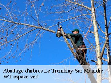 Abattage d'arbres le-tremblay-sur-mauldre-78490 WT espace vert