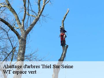Abattage d'arbres triel-sur-seine-78510 WT espace vert