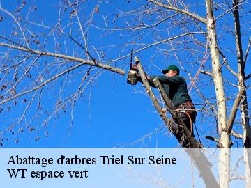 Abattage d'arbres triel-sur-seine-78510 WT espace vert