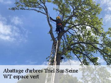 Abattage d'arbres triel-sur-seine-78510 WT espace vert