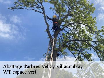 Abattage d'arbres velizy-villacoublay-78140 WT espace vert