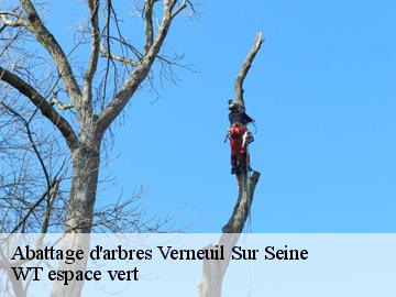 Abattage d'arbres verneuil-sur-seine-78480 WT espace vert