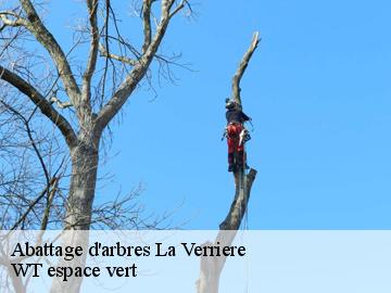 Abattage d'arbres la-verriere-78320 WT espace vert