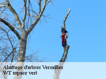 Abattage d'arbres versailles-78000 WT espace vert