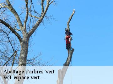 Abattage d'arbres vert-78930 WT espace vert