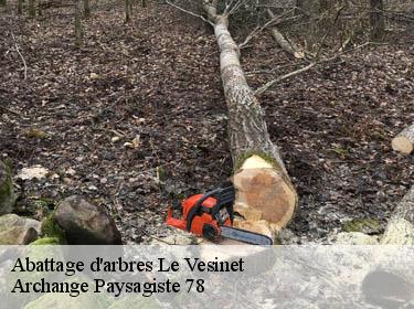 Abattage d'arbres  le-vesinet-78110 Archange Paysagiste 78