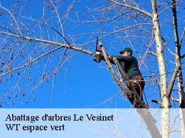 Abattage d'arbres le-vesinet-78110 WT espace vert