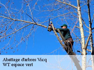 Abattage d'arbres vicq-78490 WT espace vert