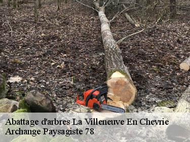 Abattage d'arbres  la-villeneuve-en-chevrie-78270 Archange Paysagiste 78
