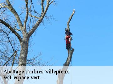 Abattage d'arbres villepreux-78450 WT espace vert