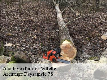 Abattage d'arbres  villette-78930 Archange Paysagiste 78