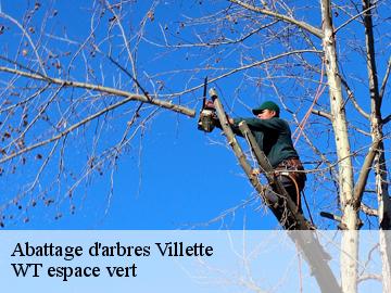 Abattage d'arbres villette-78930 WT espace vert