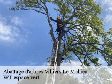 Abattage d'arbres villiers-le-mahieu-78770 WT espace vert