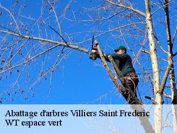Abattage d'arbres villiers-saint-frederic-78640 WT espace vert
