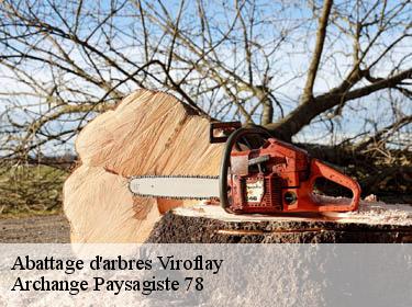 Abattage d'arbres  viroflay-78220 Archange Paysagiste 78
