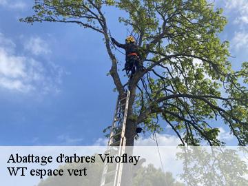 Abattage d'arbres viroflay-78220 WT espace vert