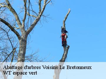 Abattage d'arbres voisins-le-bretonneux-78960 WT espace vert