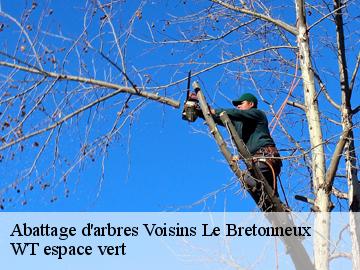 Abattage d'arbres voisins-le-bretonneux-78960 WT espace vert