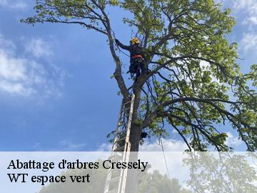 Abattage d'arbres  cressely-78114 WT espace vert 