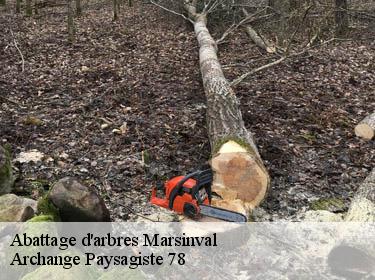 Abattage d'arbres  marsinval-78540 Archange Paysagiste 78