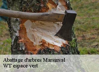 Abattage d'arbres marsinval-78540 WT espace vert
