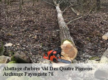 Abattage d'arbres  val-des-quatre-pignons-78650 Archange Paysagiste 78