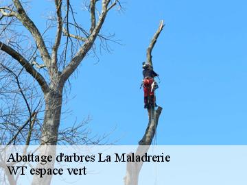 Abattage d'arbres la-maladrerie-78300 WT espace vert