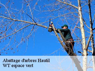 Abattage d'arbres hautil-78510 WT espace vert