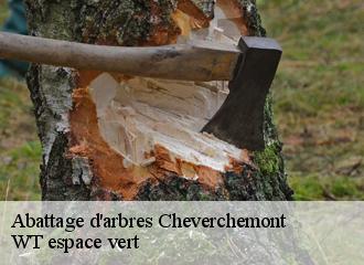 Abattage d'arbres  cheverchemont-78510 WT espace vert 