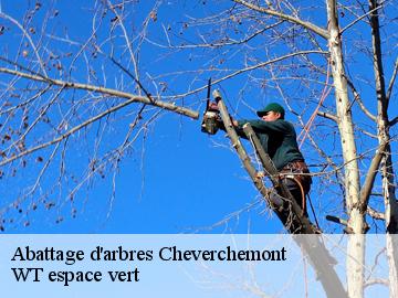 Abattage d'arbres  cheverchemont-78510 WT espace vert 