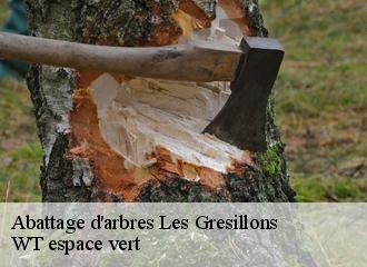 Abattage d'arbres les-gresillons-78955 WT espace vert