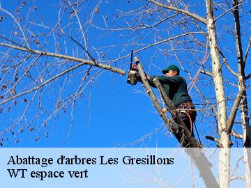 Abattage d'arbres les-gresillons-78955 WT espace vert