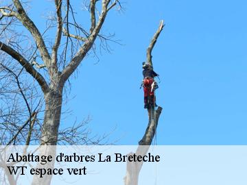 Abattage d'arbres la-breteche-78860 WT espace vert