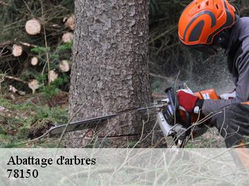 Abattage d'arbres parly-78150 WT espace vert