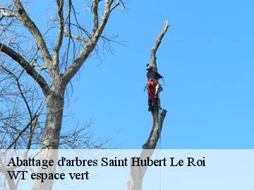 Abattage d'arbres saint-hubert-le-roi-78690 WT espace vert