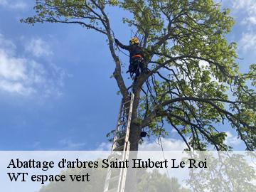Abattage d'arbres saint-hubert-le-roi-78690 WT espace vert