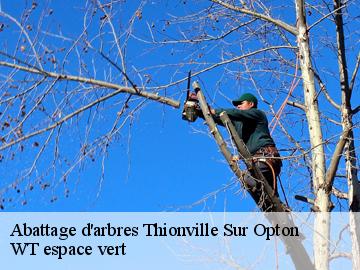 Abattage d'arbres  thionville-sur-opton-78550 Archange Paysagiste 78