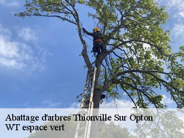 Abattage d'arbres  thionville-sur-opton-78550 Archange Paysagiste 78