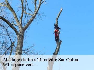 Abattage d'arbres thionville-sur-opton-78550 WT espace vert